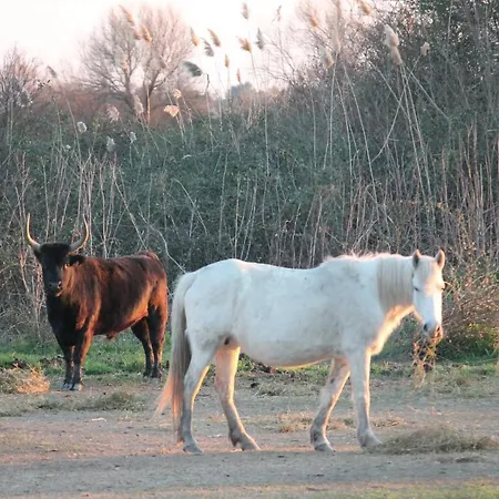 La Demeure Penzion Aubais