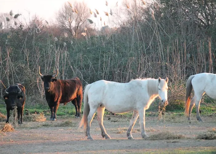 La Demeure Gasthuis Aubais